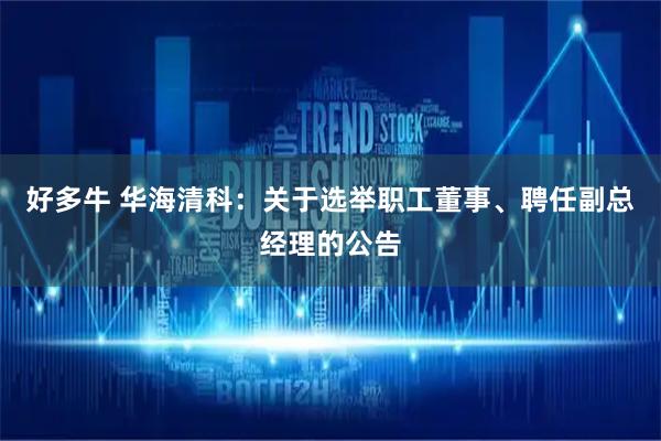 好多牛 华海清科：关于选举职工董事、聘任副总经理的公告