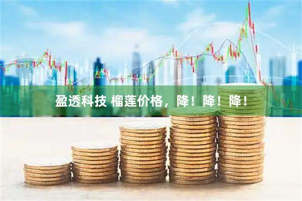 盈透科技 榴莲价格，降！降！降！