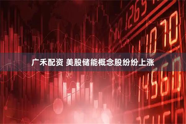 广禾配资 美股储能概念股纷纷上涨