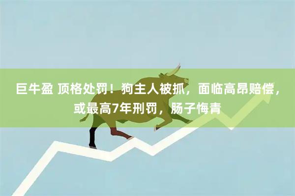 巨牛盈 顶格处罚！狗主人被抓，面临高昂赔偿，或最高7年刑罚，肠子悔青