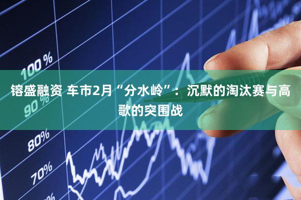 镕盛融资 车市2月“分水岭”：沉默的淘汰赛与高歌的突围战