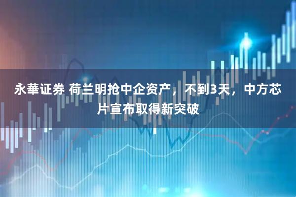 永華证券 荷兰明抢中企资产，不到3天，中方芯片宣布取得新突破